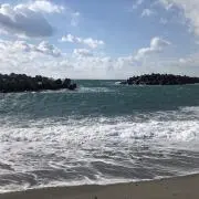 nikiの画像