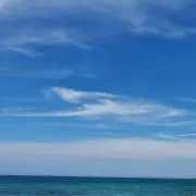 paru-paruの画像