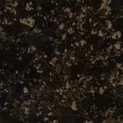 cocoの画像