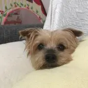 ヒロキ78の画像