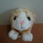 みーたん♫