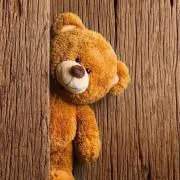 Teddy