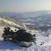 松井吾郎