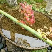 ゆうきの画像