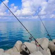 fishingの画像