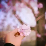 ユーギー