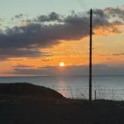 NMTAW29の画像