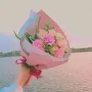 Hanaの画像