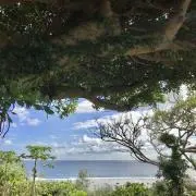Juneの画像