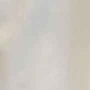 みつの画像