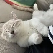 M.Mの画像