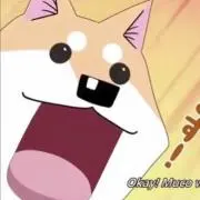 ムーコ