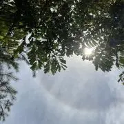 しほこの画像