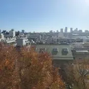 ようすけの画像
