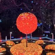 Tnの画像