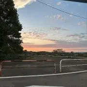 みーの画像