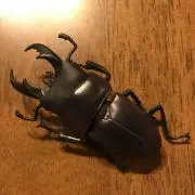 オビワン