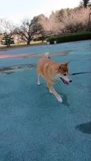 断捨離中の画像