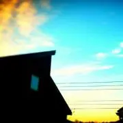真琴の画像