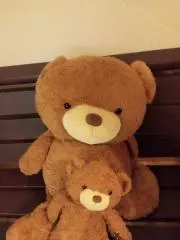 Yukiの画像