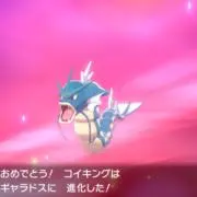 ミーの画像