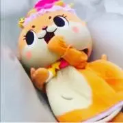 ちぃたん