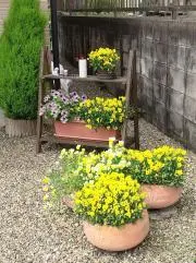 ころさですの画像