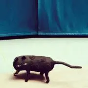みっふぃーの画像
