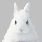 鼻セレブ