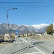 田舎の頑固者の画像