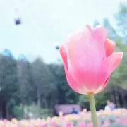 mmmの画像