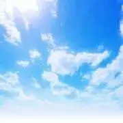midoriの画像