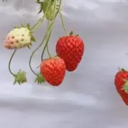まり⭐︎の画像