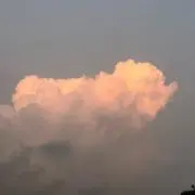 れもん※プロフ必読の画像