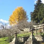 パキらん♪の画像
