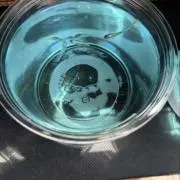 SAKUの画像