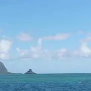 Y
