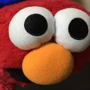 けんぞーの画像