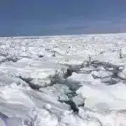 Mu-Monの画像