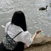 おもちの画像