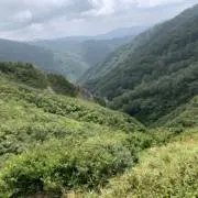 Image of あかいとり