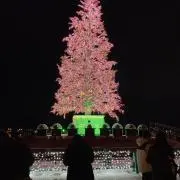 ja.の画像