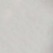 ささみの画像