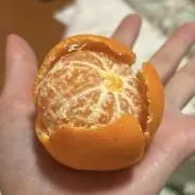 ユウキの画像