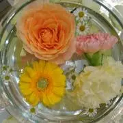 まゅの画像