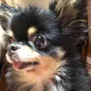 蘭太郎