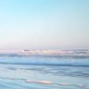 みやび(いいねしても値下げしません)