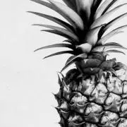 Image of Ms. Pineapple
