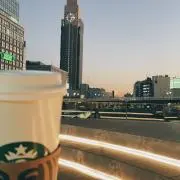 杉の画像