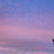 na.kの画像